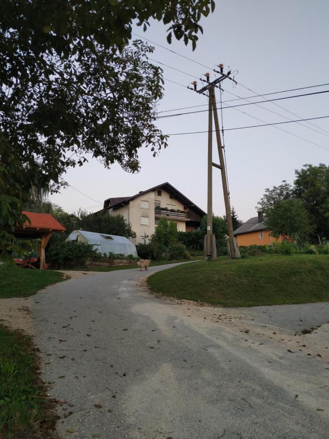 Apartamento Eko Kmetija Gerbec Grahovo Exterior foto